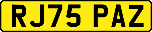 RJ75PAZ