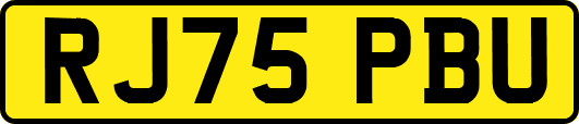 RJ75PBU