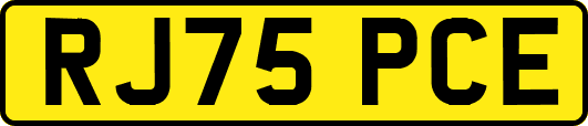 RJ75PCE