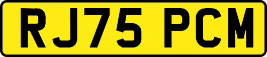 RJ75PCM