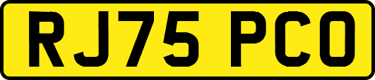 RJ75PCO