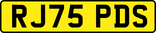 RJ75PDS