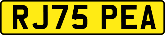 RJ75PEA