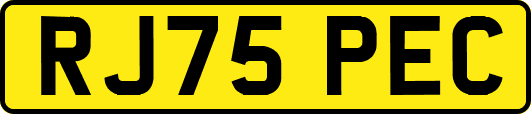 RJ75PEC
