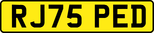 RJ75PED