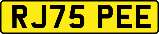 RJ75PEE