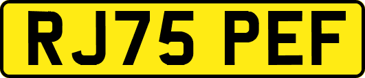 RJ75PEF