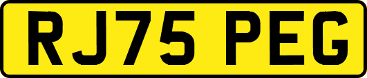 RJ75PEG