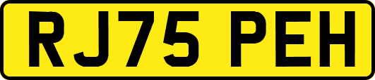 RJ75PEH