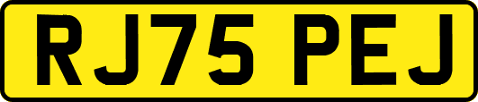 RJ75PEJ