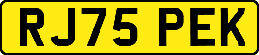 RJ75PEK