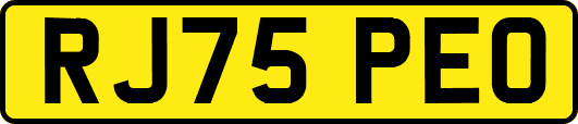 RJ75PEO