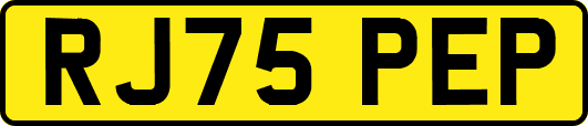 RJ75PEP