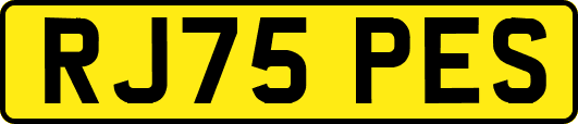 RJ75PES