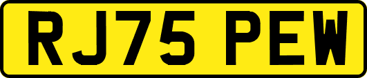 RJ75PEW