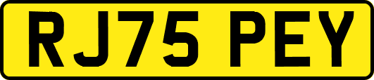 RJ75PEY