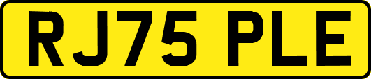 RJ75PLE