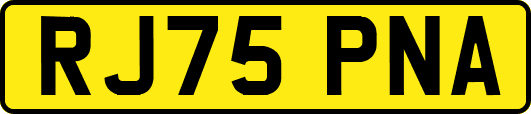 RJ75PNA