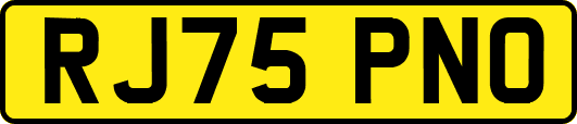 RJ75PNO