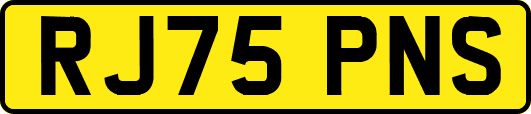 RJ75PNS