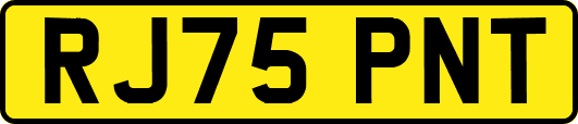 RJ75PNT