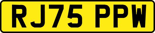 RJ75PPW