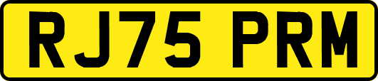 RJ75PRM