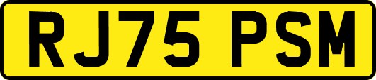 RJ75PSM