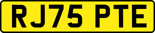 RJ75PTE