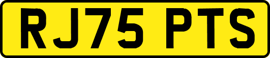 RJ75PTS