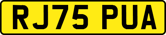 RJ75PUA