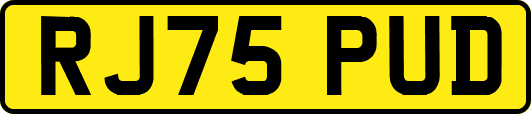 RJ75PUD
