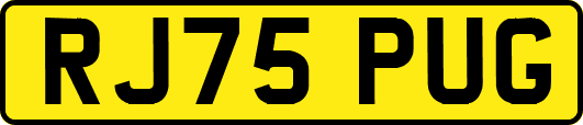 RJ75PUG