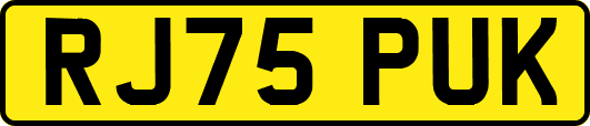 RJ75PUK