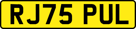 RJ75PUL