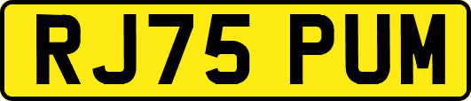 RJ75PUM