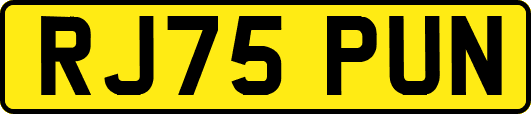 RJ75PUN