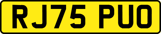RJ75PUO
