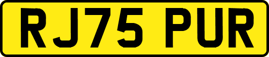 RJ75PUR