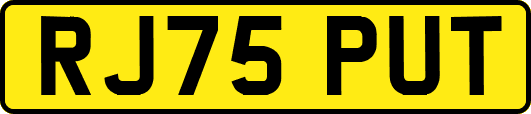 RJ75PUT