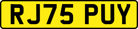 RJ75PUY