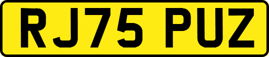 RJ75PUZ
