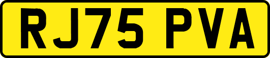 RJ75PVA