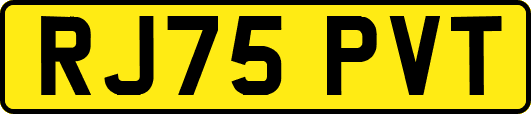 RJ75PVT