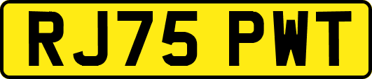 RJ75PWT