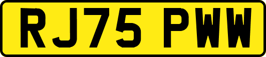 RJ75PWW