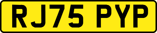 RJ75PYP