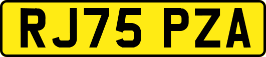 RJ75PZA