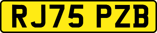 RJ75PZB