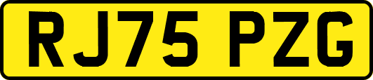 RJ75PZG